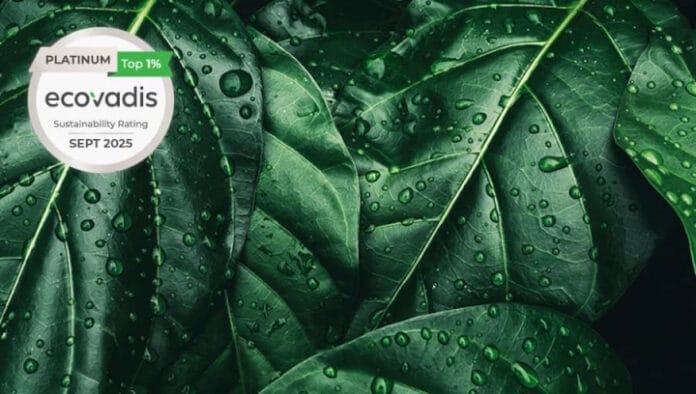 Lecta, EcoVadis, Nachhaltigkeit,
