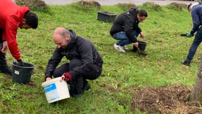 smart-TEC, Rathgeber,