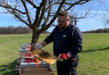 Bienen im Endspurt des Jahres IST Metz, UV-Technik, Bienen,