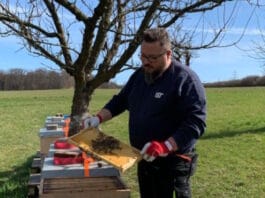 IST Metz, UV-Technik, Bienen,