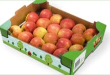 wasserbasierter Flexodruck,