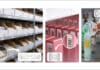 RFID-Produktfamilie erweitert Xindeco IoT, RAIN-RFID, RFID-Tags,